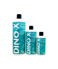 Fauna Marin – Dino X