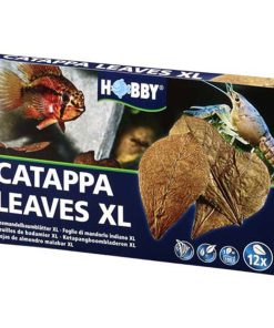Hobby – Catappa Leaves XL – 12pz